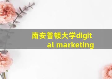 南安普顿大学digital marketing